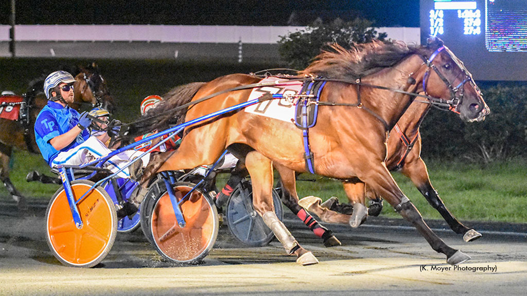Coventry Hall Back On Top In Ocean Open Trot