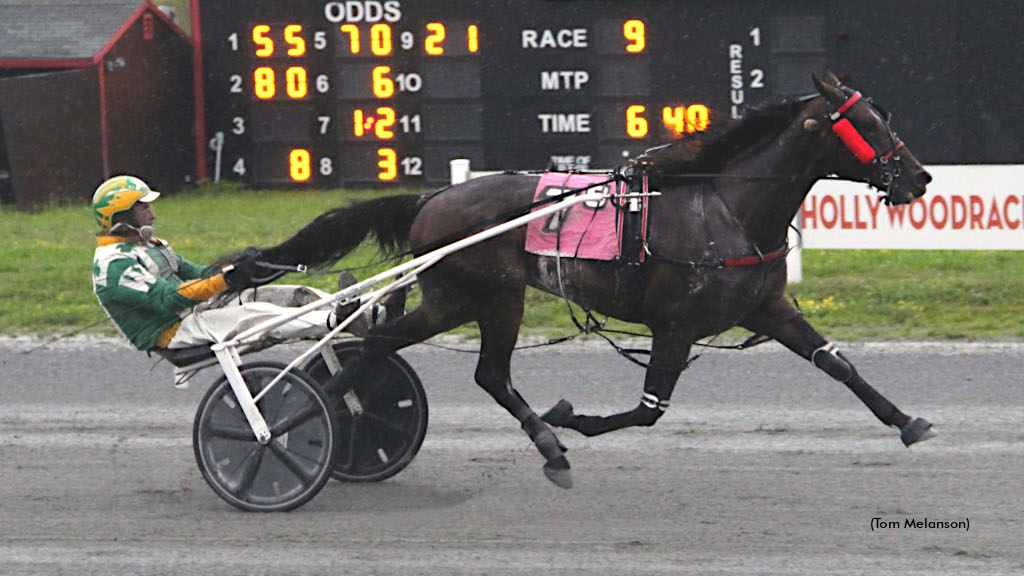 Delayed Hanover On Time In Plainridge Open Trot