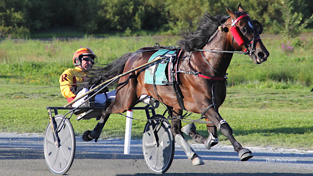 Delayed Hanover Much The Best In Plainridge Open