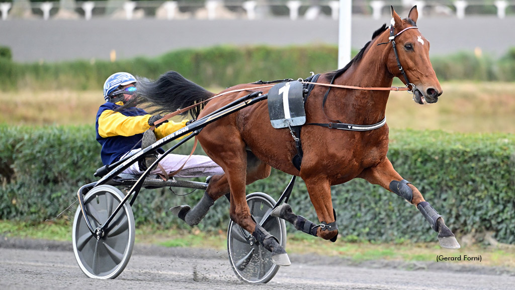 French Trotters Join Yonkers International Lineup