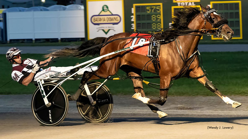Unbeaten Rookies To Meet In Saturday's Sire Stakes