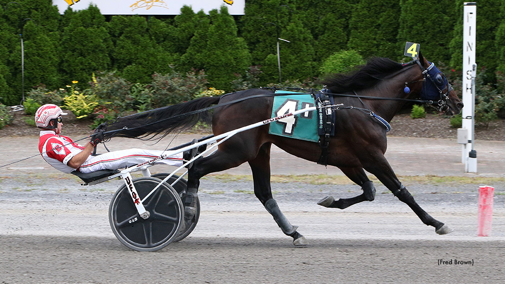 Fly By, Sir Pinocchio Take NYSS Splits