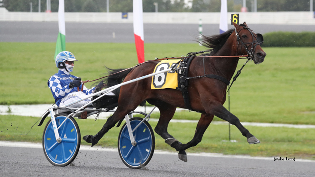 Denmark Standout Get A Wish Back For International Trot