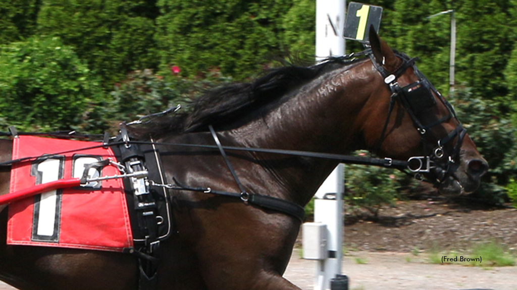 Svanstedt Adds To Hambo Weekend Stakes Haul