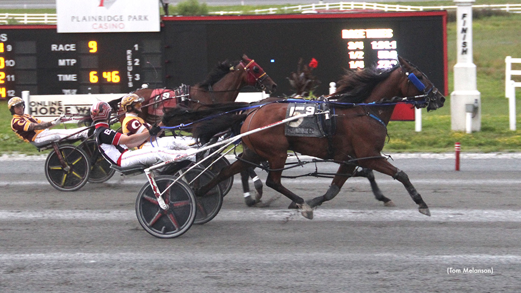 Heinikin Bythebay Takes Plainridge Open Pace