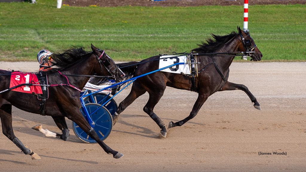 Its Not My Vault Perfect In Prospect Series