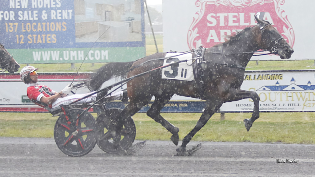 Jiggy Jog S Returns In Cashman With Record Performance