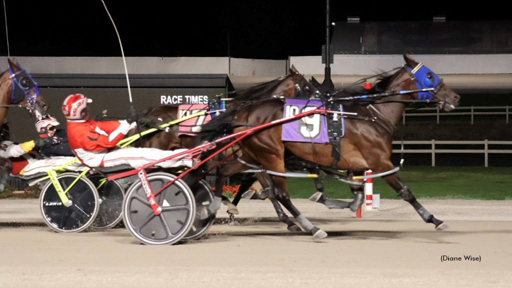 Lady Bridgerton Upsets In Buckeye Stallion Series