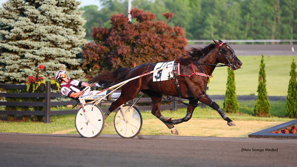 Logan Park Invited To Race In 2025 Elitloppet