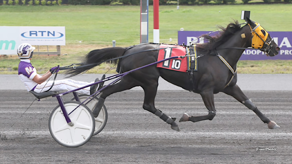 M Ms Dream Repeats In Steele Memorial