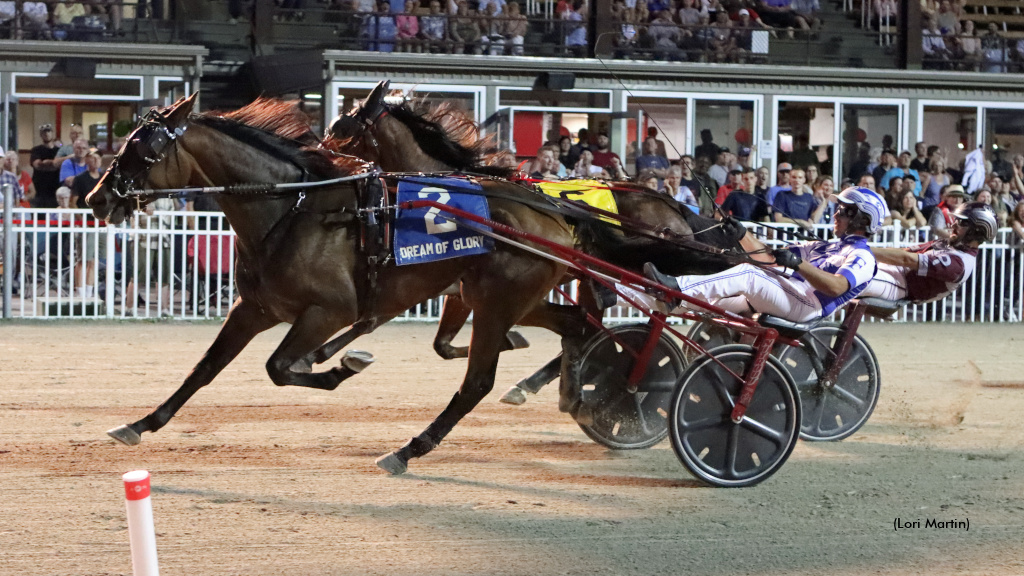 Magic Dealer Magnificent In Dream Of Glory Trot