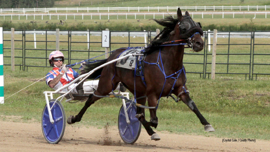 Campbell Sweeps Four-Year-Old Finals At Track On 2