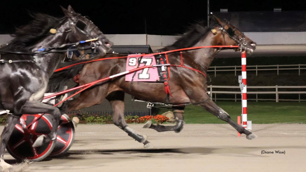 Midnight Nolan In A Buckeye Stallion Series Shocker