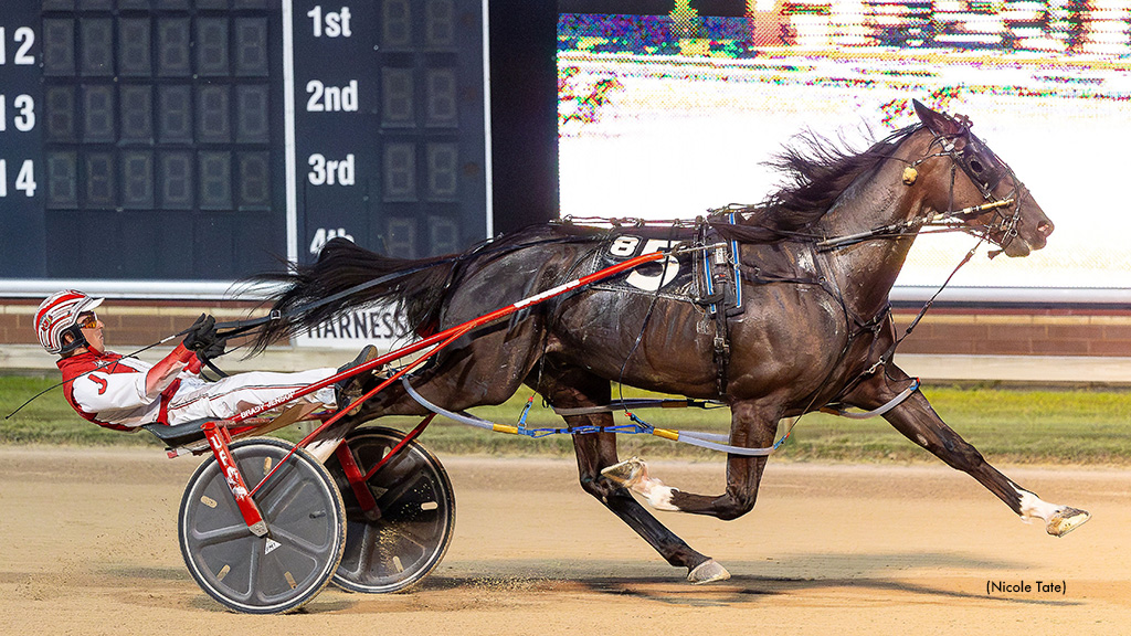 Muskateer Hanover Dazzles In Dan Patch