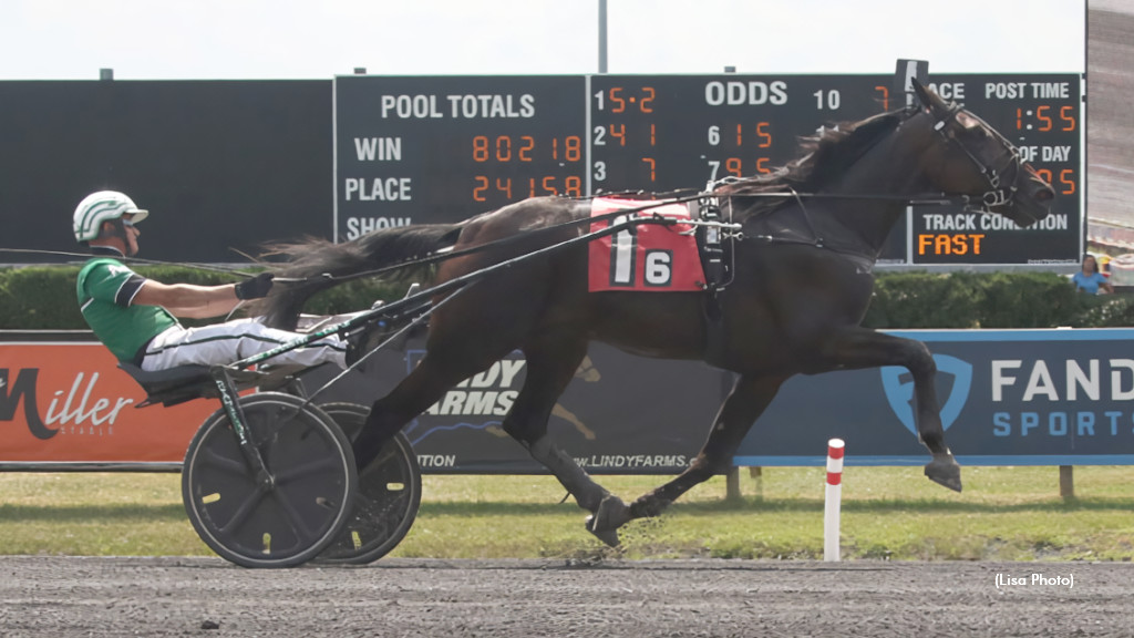 Wellwood, Peaceful Way Eliminations Set For Saturday