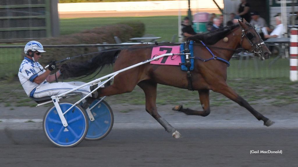 Oceanview Rumours Lowers Her Red Shores Track Record