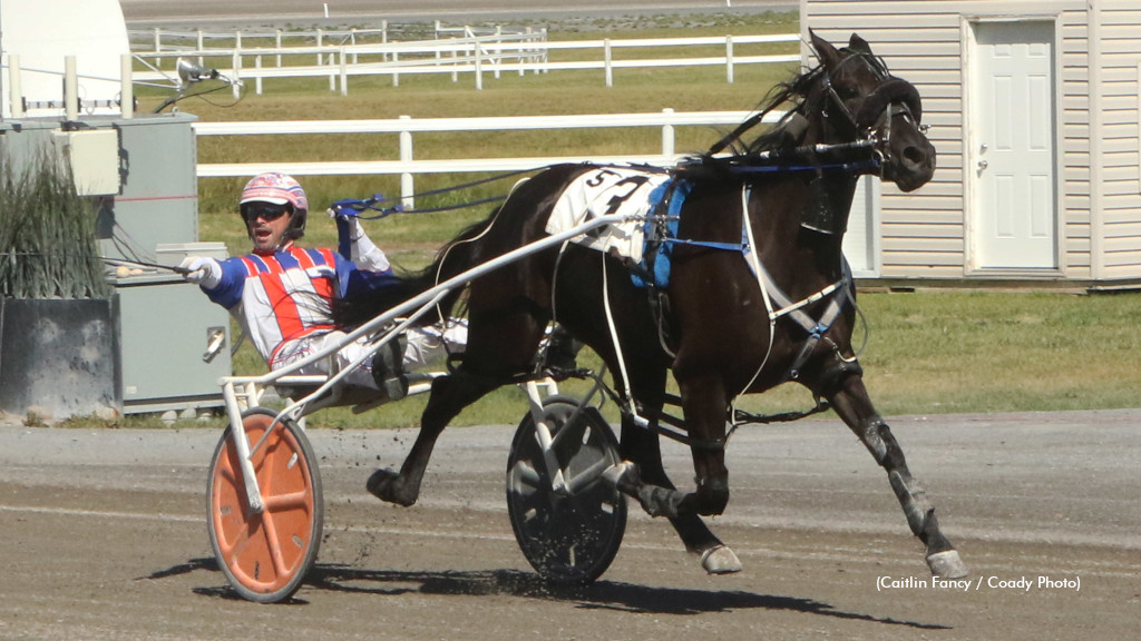 Alberta Princess, Plainsman Elims Complete