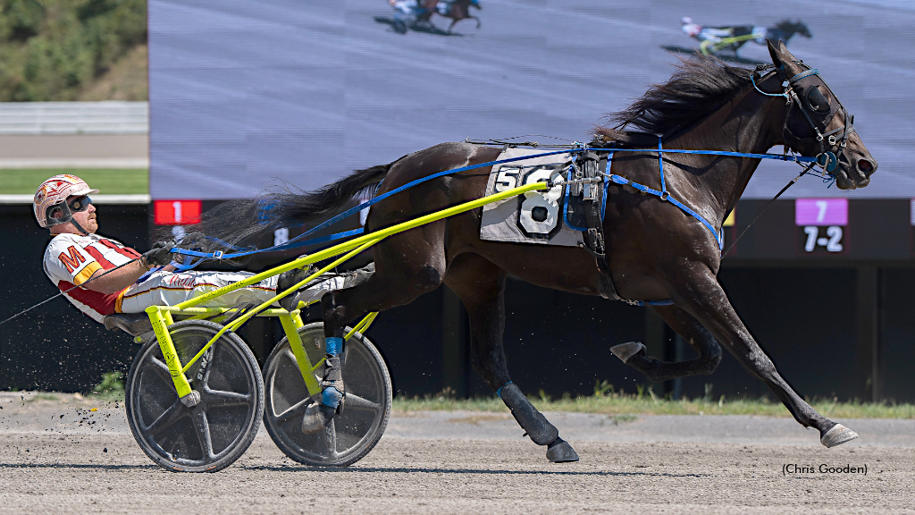 PJs Dream A Nightmare For Her Rivals