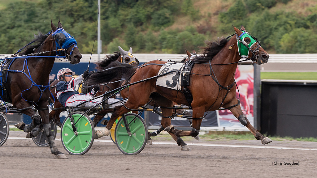 Rocks Shining Star Shines In Meadows Open
