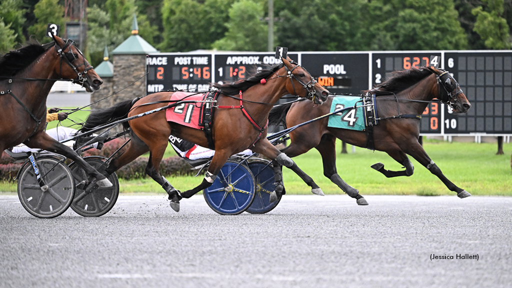 Royal Mission Scores First Win In New York Sire Stakes