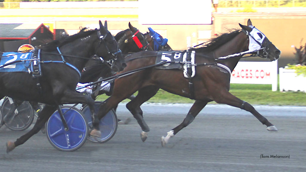 Sea Can Connects In Plainridge Open Trot