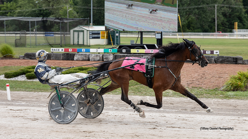 Hanover Hosts Balanced Image Elims