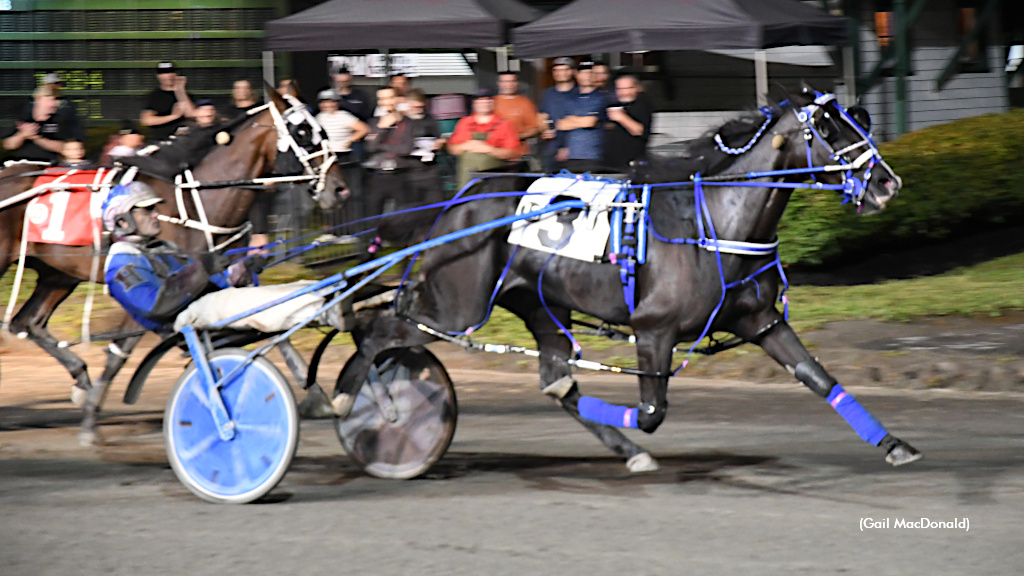 Top Gamester Mares To Tee Off In Charlottetown