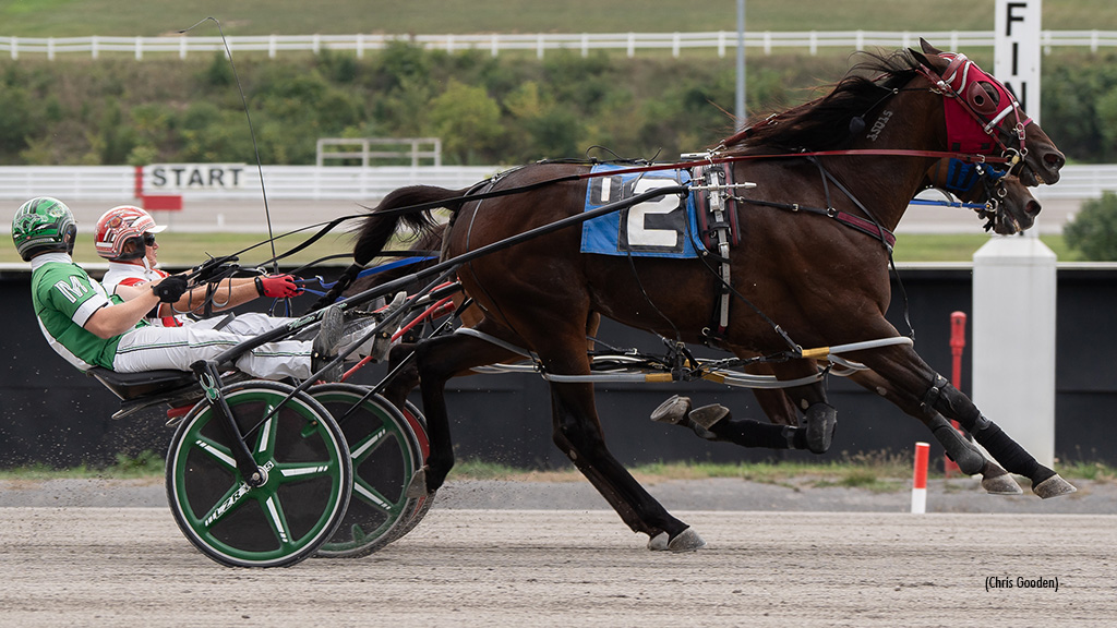 Surreal Ideal Springs 9-1 Upset In Open; Wilder Wins Five