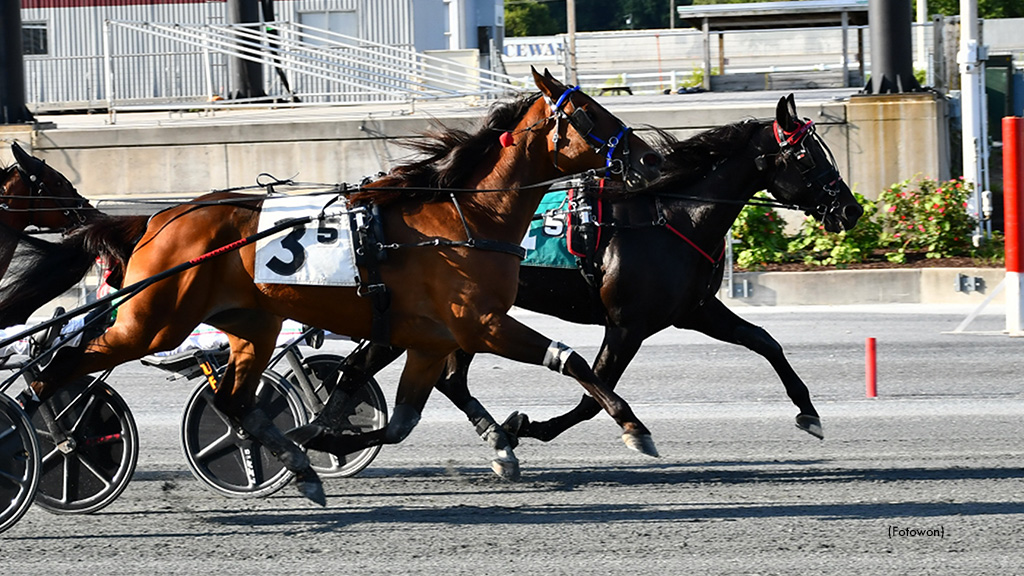 Swan In Motion Wins Harrington Free-For-All