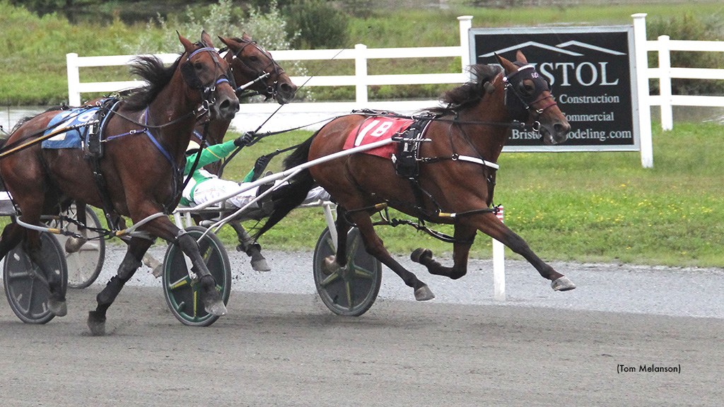 Swedish Starlet N Wins Plainridge Open