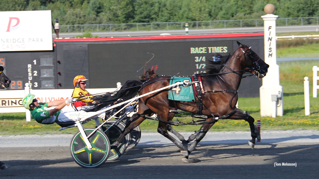 Torrid Saint A Goes Lifetime Best At Plainridge