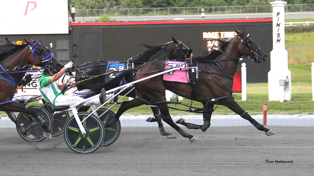 Torrid Saint A Takes New Mark At Plainridge Park