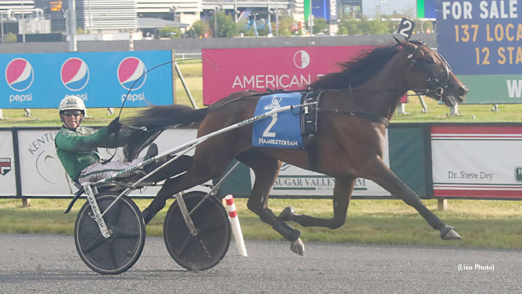 Svanstedt Stars Set For Sun Stakes Saturday