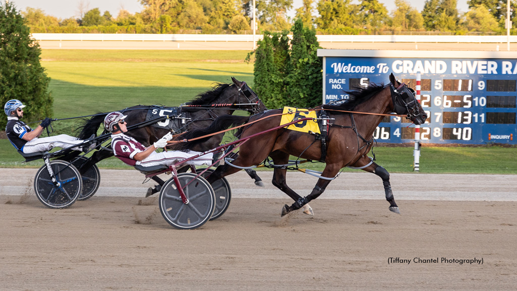New Owner Raises The Bar For Marketing Harness Racing
