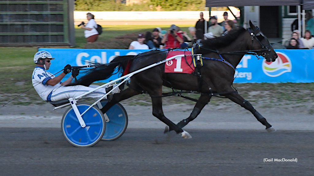 Woodmere Flojo Has The Mojo