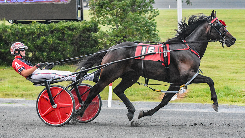 Yall Keep Dreaming Strikes Again In Maryland Stakes