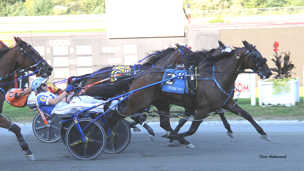 Alluneedisfaith N Nabs Plainridge Open Win