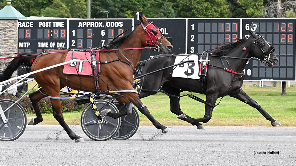 Arizona Strikes Again In Saratoga Mares Open