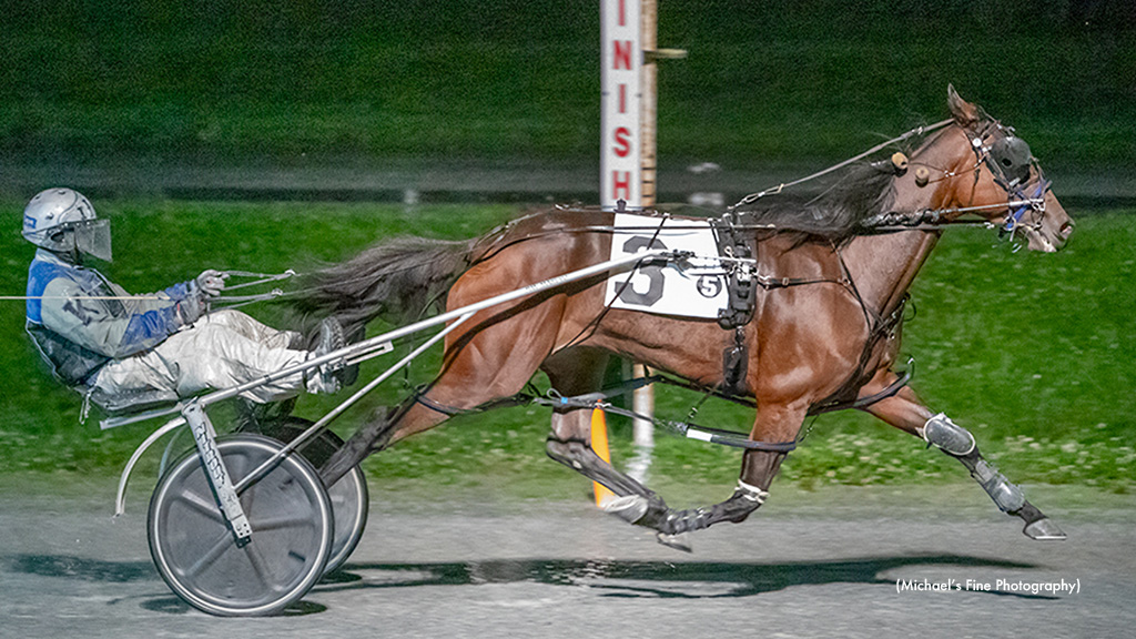 B On The Hunt Wires Fraser Distaff Preferred