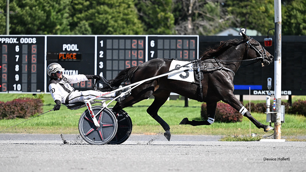 Bluffinner Captures Saratoga Open Trot