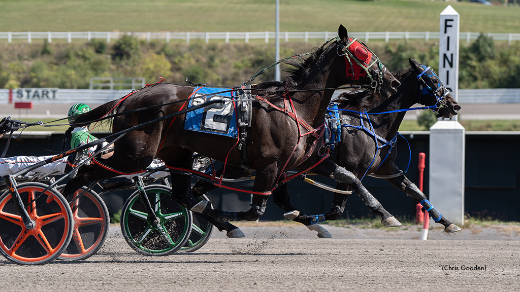 Cathy Hanover Rolls To Career Best At Meadows