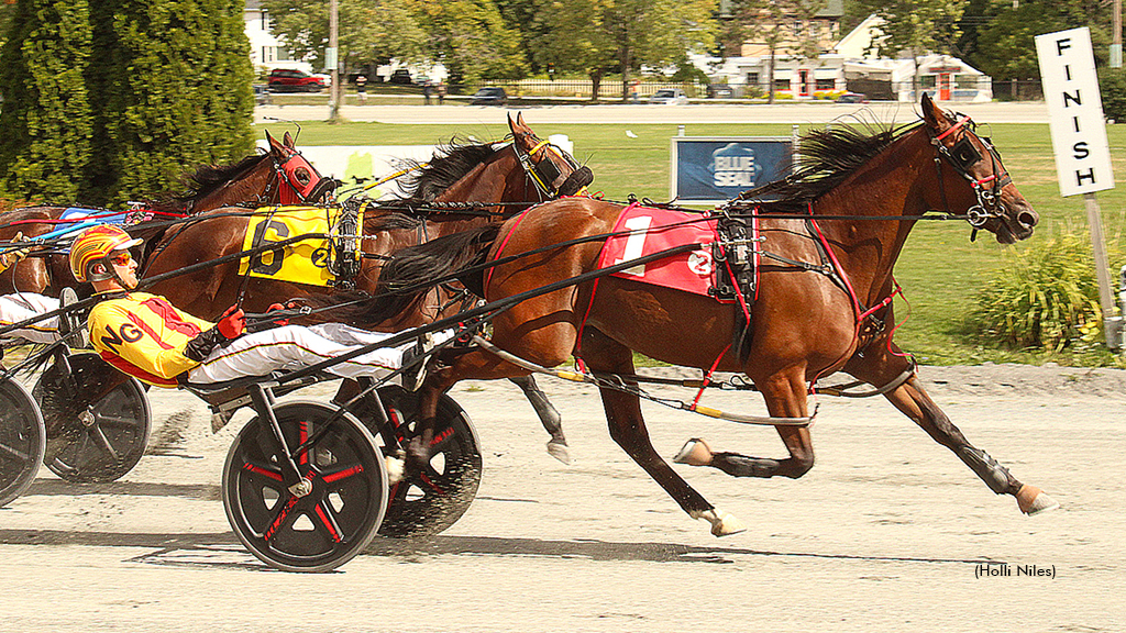 Chasing Dudes Accumulates More Maine Sire Stakes Points