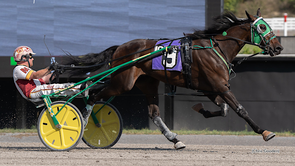 Drebin Finds Winning Formula At The Meadows