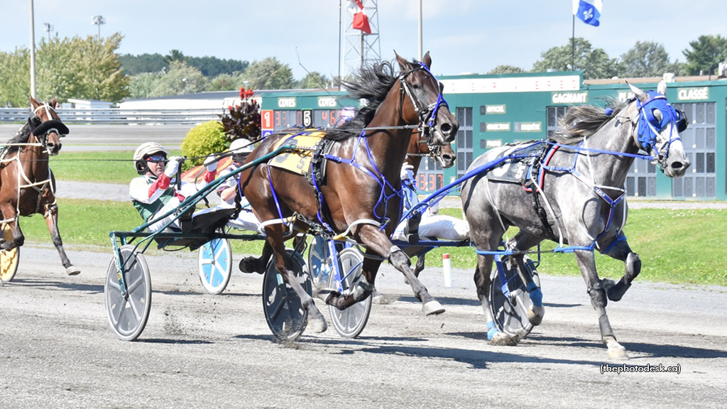 Preferred Distaffers Dead Heat At Hippodrome 3R