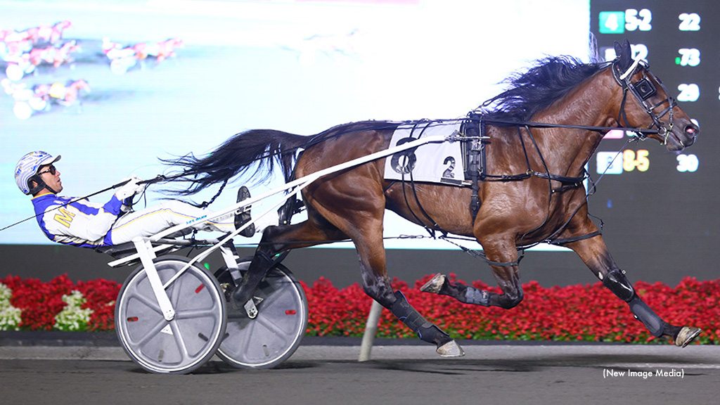 Goober Smack Enjoys Career Best In Grassroots