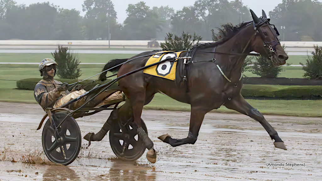 Highland Kismet Rebounds In Bluegrass Action Saturday