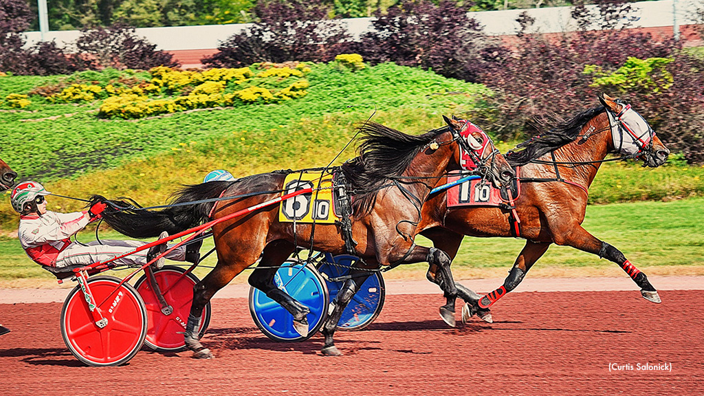 Pantaleano Sweeps Pocono Trot Features