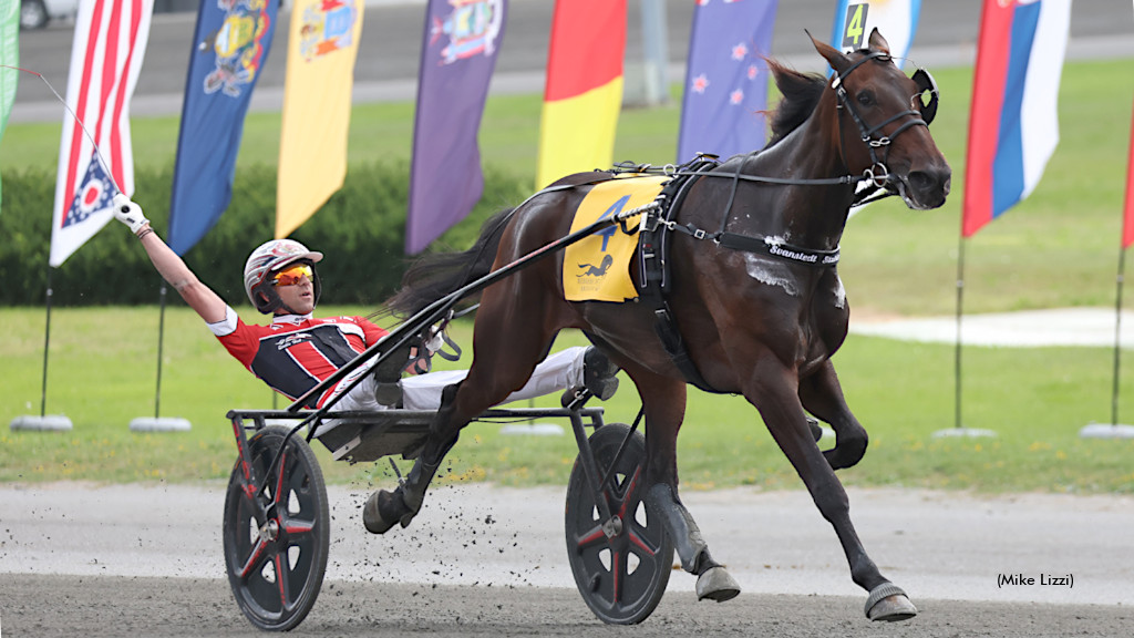 Hot Mess Hanover Makes Standardbred Sale History