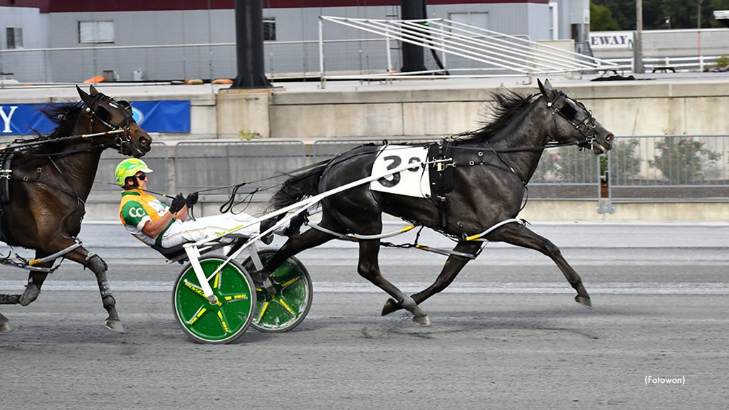 DSBF Fillies Headline Tuesday Harrington Card