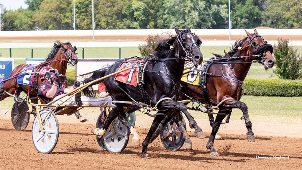 'Sweet' Homebreds Lead Burke Hopefuls In Kentucky